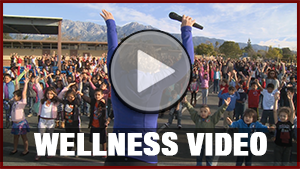 Wellness Video 